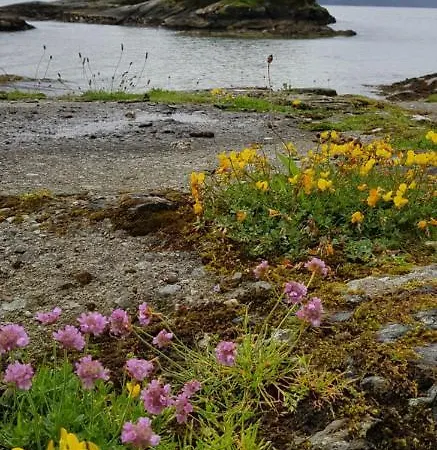 Apartmán Afjordvegen851